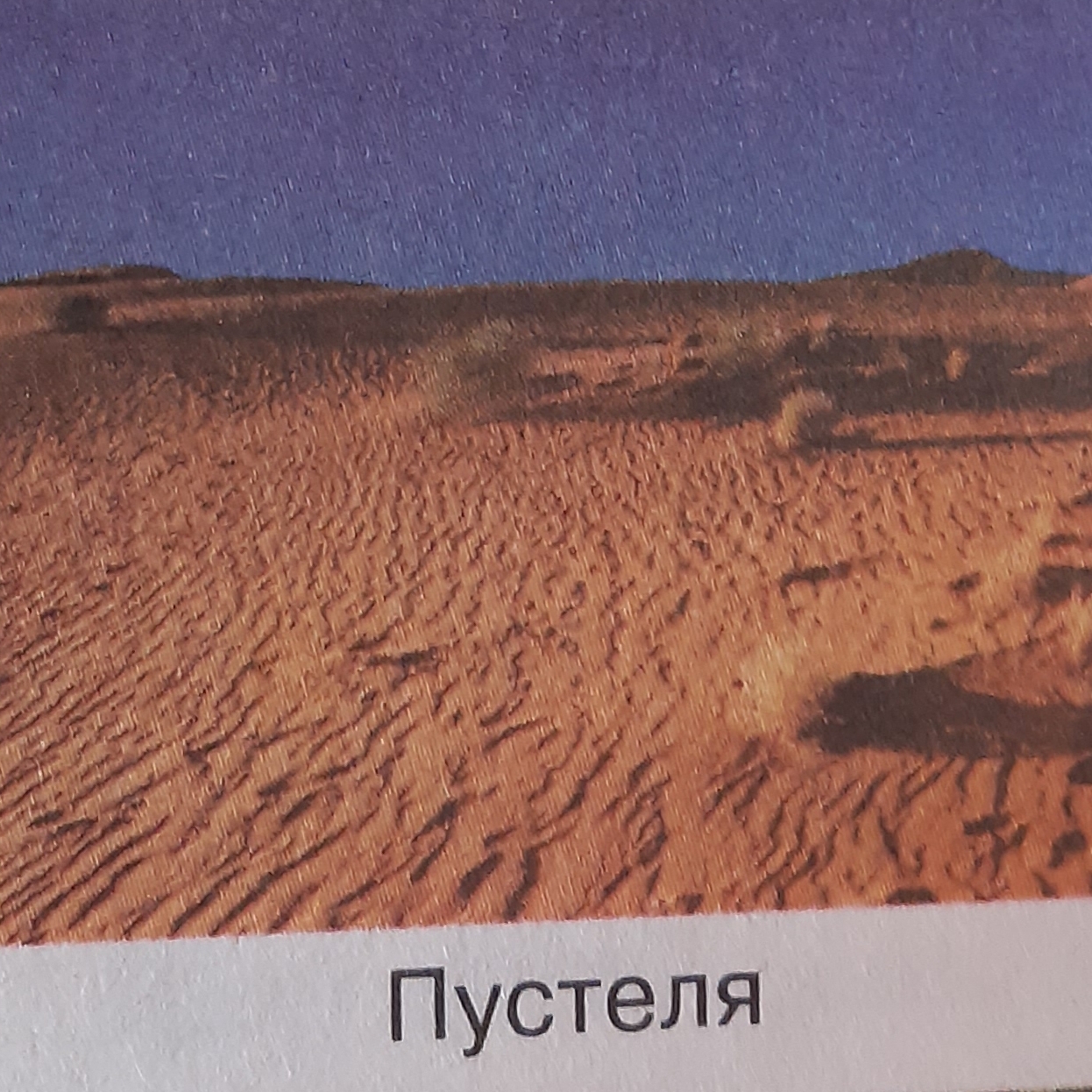 Природа України. Природні зони. | Тест з природознавства – «На Урок»